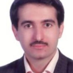 محمدرضا رجبی 73046